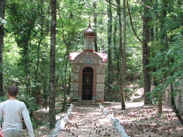 Часовня в Багреевке Часовня в Багреевке