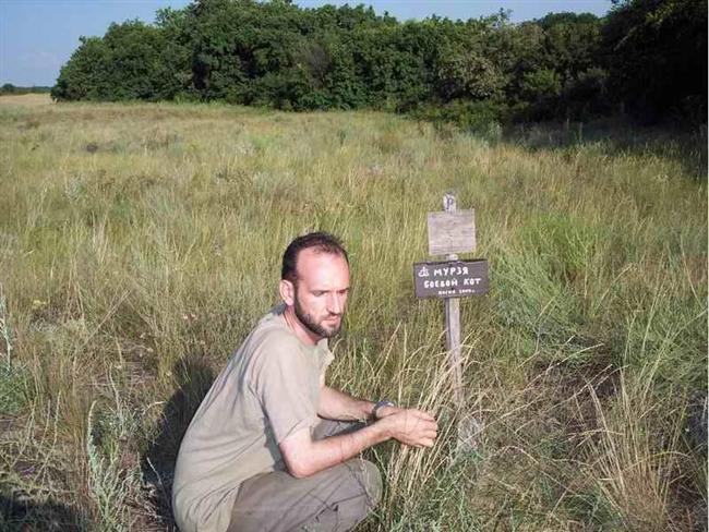 Кот Мурзя Кот Мурзя