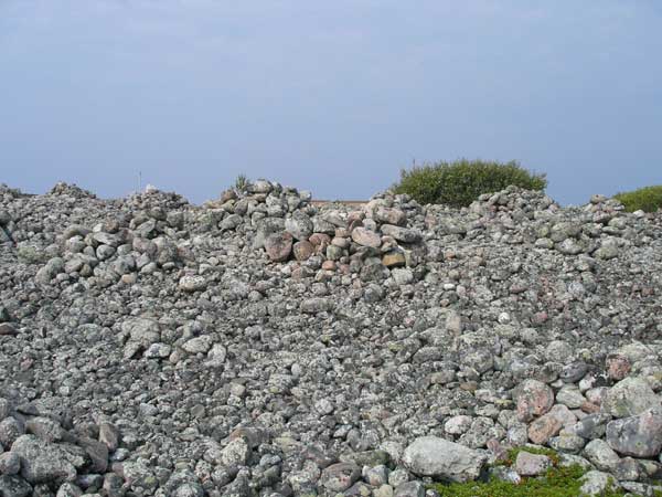 многочисленные курганы