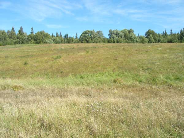 Богородичный луг - место явления Богородицы преп.Елеазару