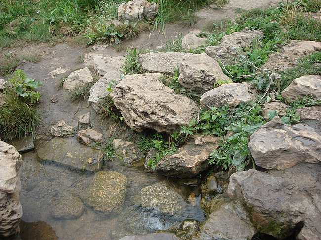 А это, собственно, и есть святой источник