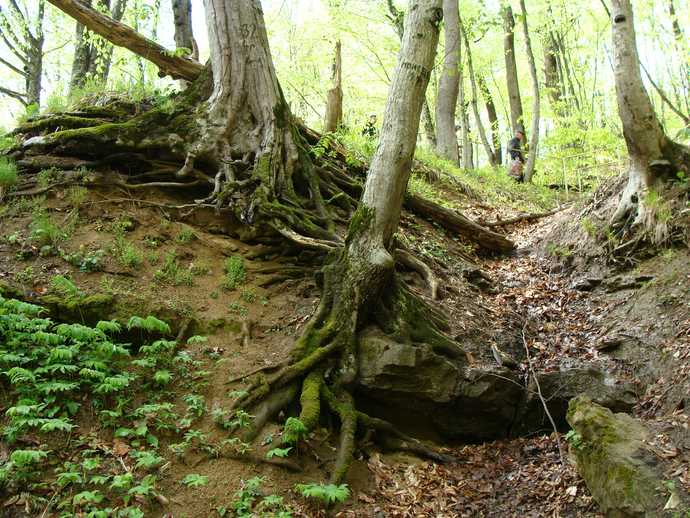 Паломничество в Михайло-Афонскую пустынь