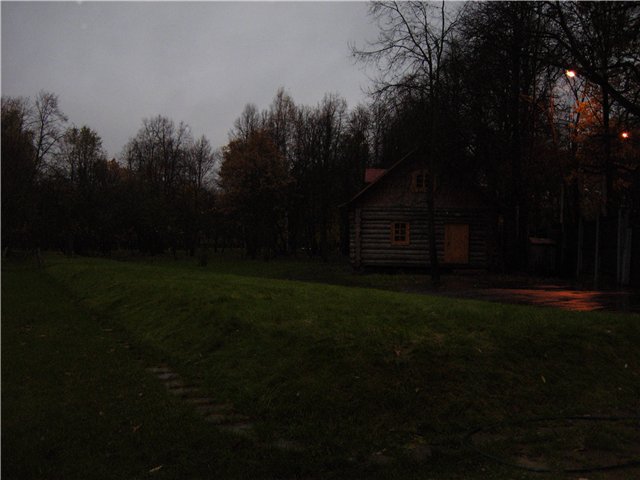 Один из рвов с захоронениями на Бутовском полигоне