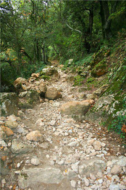 Тропа. Тропа.