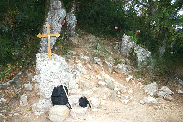 Точка принятия решения. Точка принятия решения.