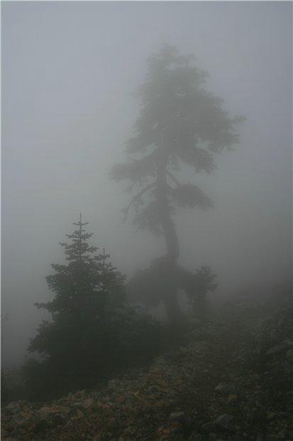 Обратный путь. Обратный путь.