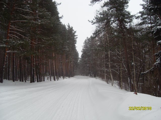 Дорога паломника.