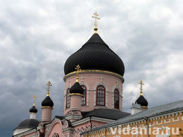 Новый Быт, Вознесенская Давидова пустынь, Спасский собор, купола