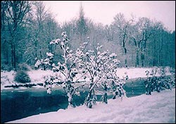 Черная речка возле Смоленского кладбища Петербурга